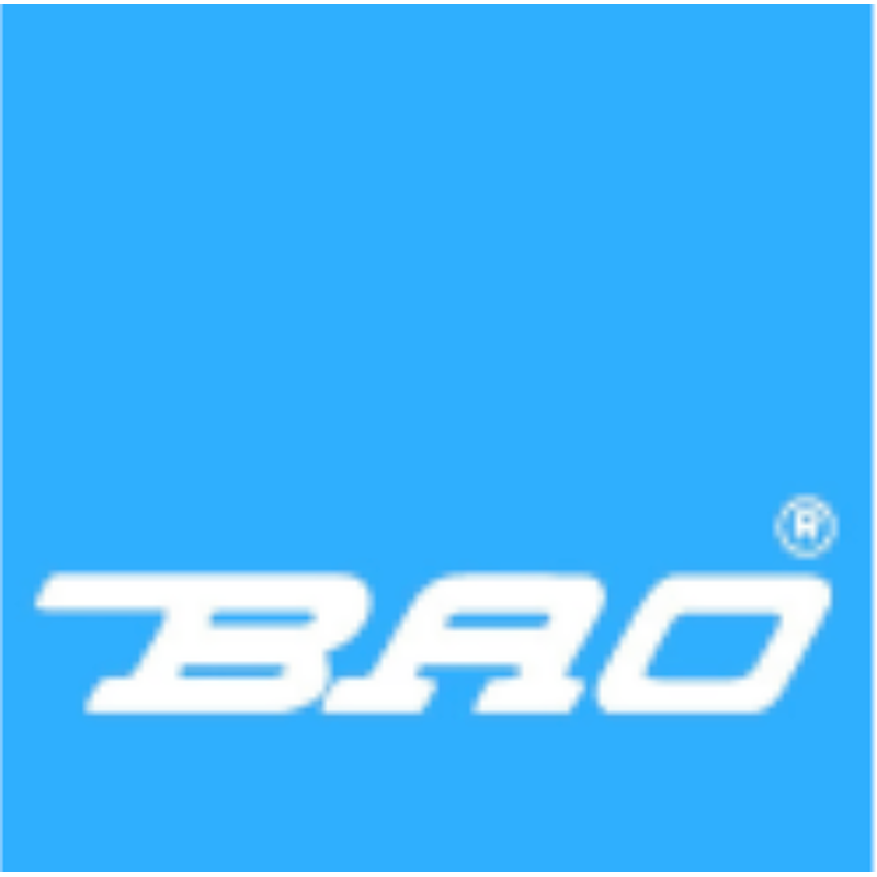 BAO-CHEMIE logo